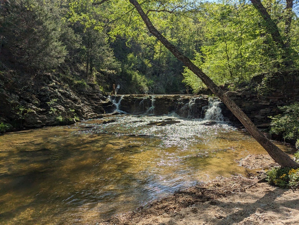 Image of the dam, built in 1827, which has blocked upstream habitat for nearly two centuries.