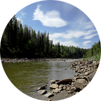 Image showing woodlands with a river in the foreground
