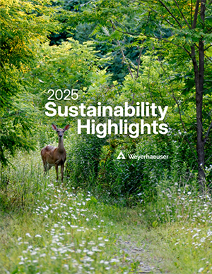 Image of the 2024-25 Sustainability Highlights cover, with a field of trees in the foreground and a mountain in the background.