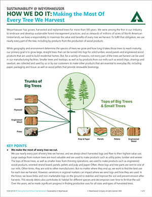 Image of the How We Do It: Making the Most of Every Tree We Harvest report.